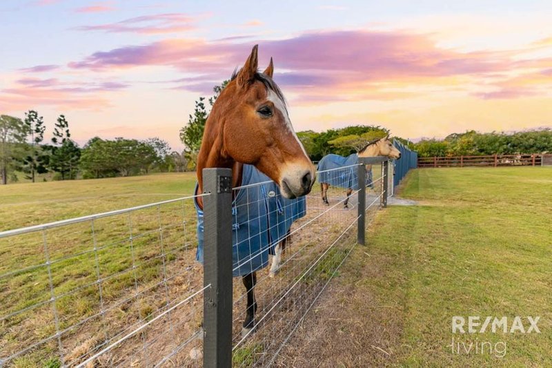 Photo - 22 Shapland Drive, Royston QLD 4515 - Image 3