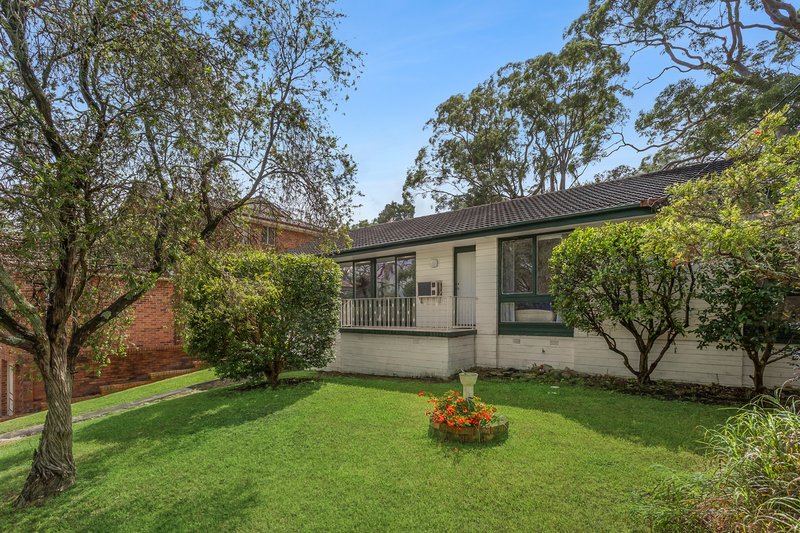 Photo - 22 Springvale Avenue, Frenchs Forest NSW 2086 - Image 1