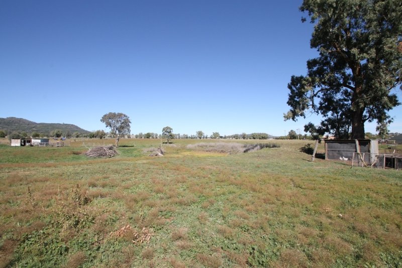 Photo - 22 Stanley Crescent, Quirindi NSW 2343 - Image 12