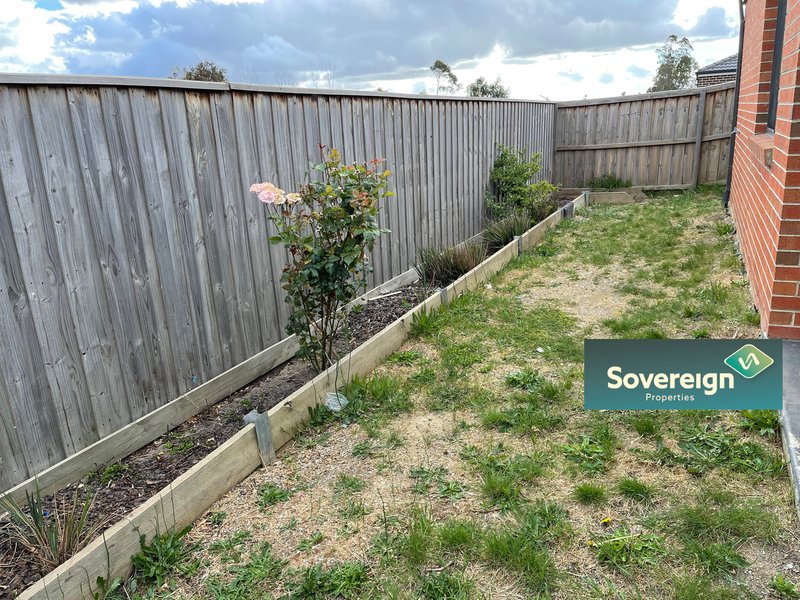 Photo - 22 Swallowtail Avenue, Clyde North VIC 3978 - Image 10