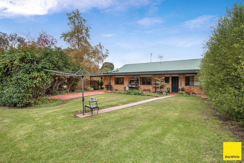 Photo - 22 Translator Road, Armidale NSW 2350 - Image 11