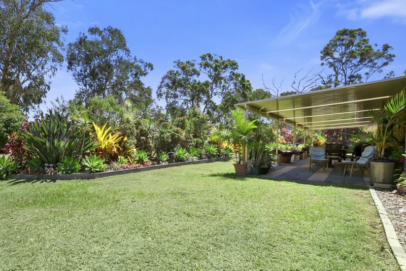 Photo - 22 Turpentine Road, Ringtail Creek QLD 4565 - Image 11