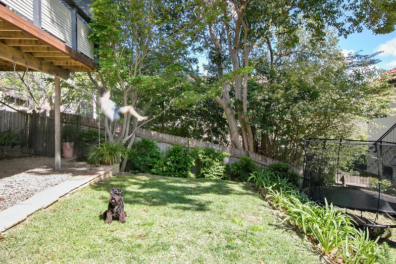 Photo - 22 Violet Street, Balgowlah NSW 2093 - Image 3