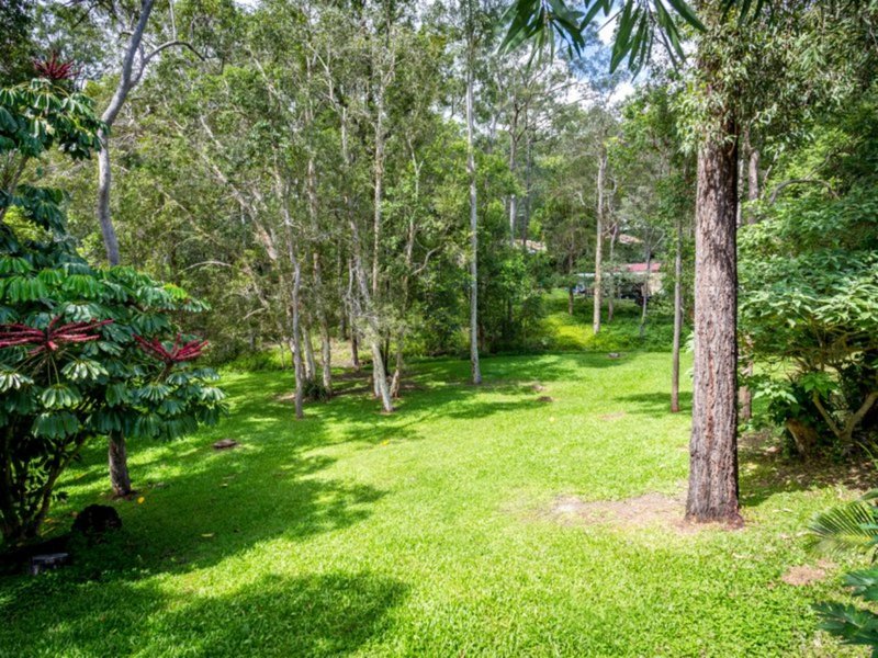 Photo - 22 Walker Drive, Worongary QLD 4213 - Image 3