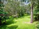 Photo - 22 Walker Drive, Worongary QLD 4213 - Image 3