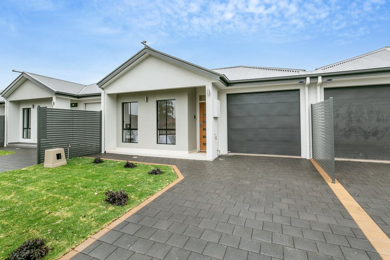 Photo - 22 Walsh Avenue, St Marys SA 5042 - Image 6