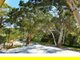 Photo - 22 Waterfall Road, Oatley NSW 2223 - Image 3