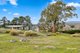 Photo - 22 Wentworth Street, Bothwell TAS 7030 - Image 24