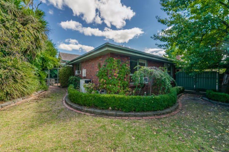 Photo - 22 Will Street, Forest Hill VIC 3131 - Image 8