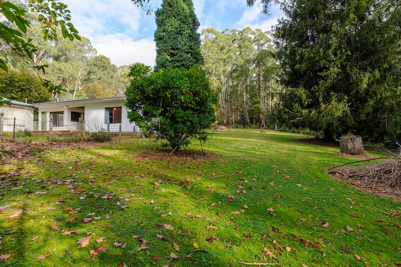 Photo - 220 Big Pats Creek Road, Big Pats Creek VIC 3799 - Image 11