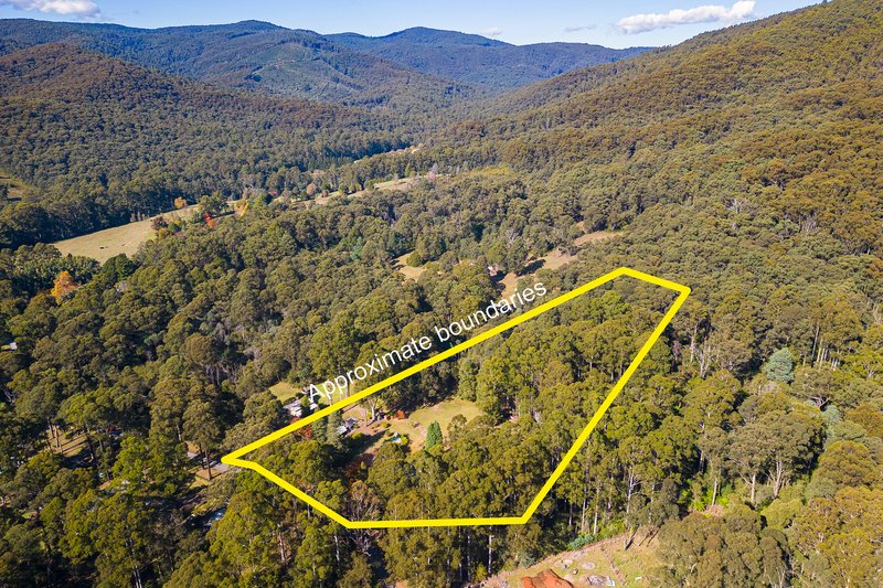 Photo - 220 Big Pats Creek Road, Big Pats Creek VIC 3799 - Image 26