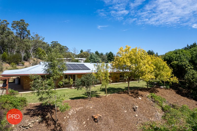 Photo - 220 Bingley Way, Wamboin NSW 2620 - Image 4