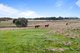 Photo - 220 Haddon School Road, Haddon VIC 3351 - Image 25