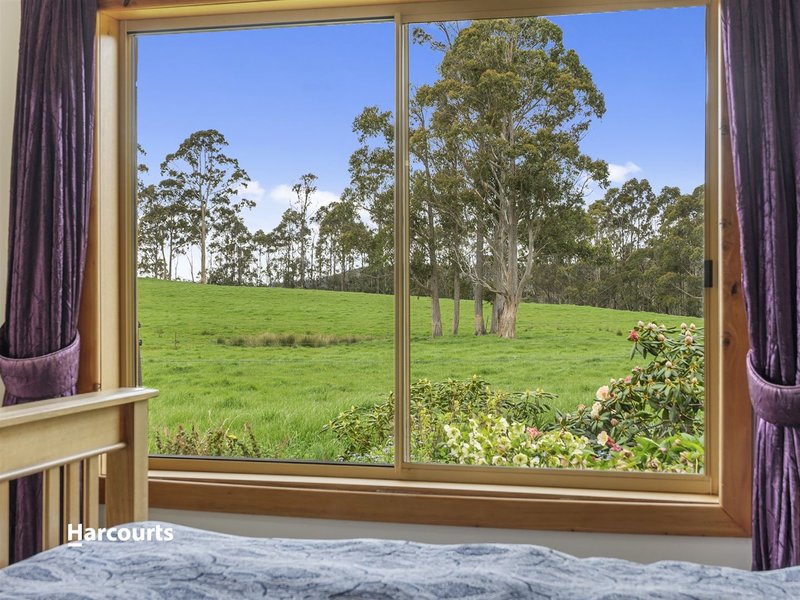 Photo - 220 Halls Track Road, Sandfly TAS 7150 - Image 14