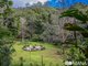 Photo - 220 Hazelbrook Road, Smiths Creek NSW 2484 - Image 17