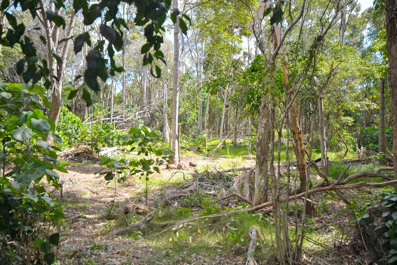 Photo - 220 Tallebudgera Drive, Palm Beach QLD 4221 - Image 21