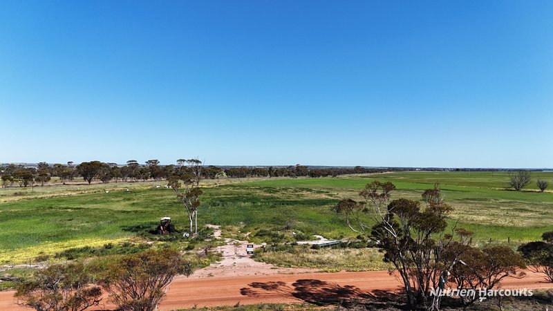 Photo - 220 Walker Road, Wadderin WA 6369 - Image 3