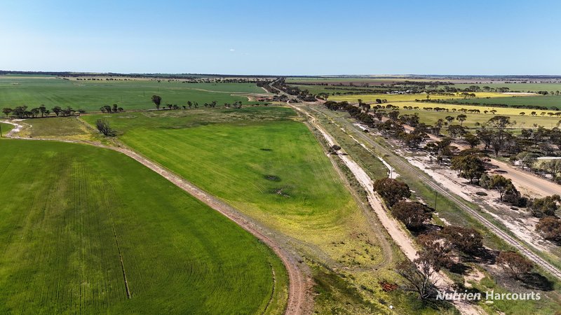 Photo - 220 Walker Road, Wadderin WA 6369 - Image 11