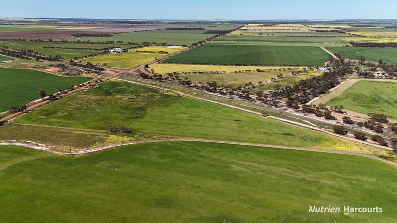 Photo - 220 Walker Road, Wadderin WA 6369 - Image 12