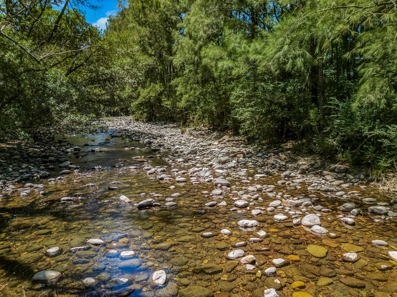 Photo - 2205 Salisbury Road, Salisbury NSW 2420 - Image 4