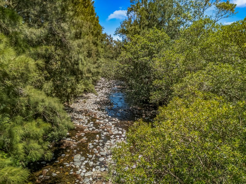 Photo - 2205 Salisbury Road, Salisbury NSW 2420 - Image 5