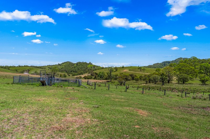 Photo - 2205 Salisbury Road, Salisbury NSW 2420 - Image 6