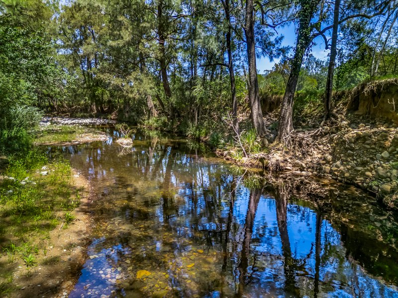 Photo - 2205 Salisbury Road, Salisbury NSW 2420 - Image 9