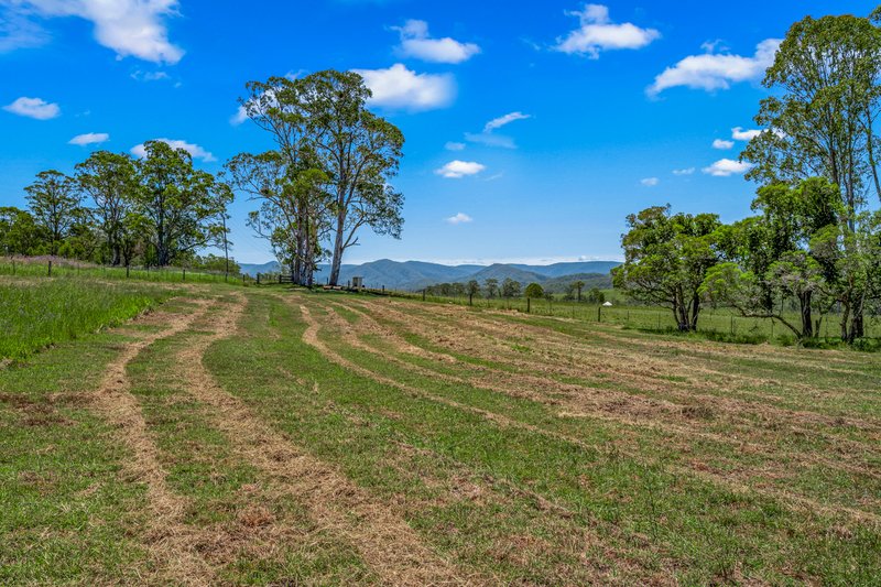 Photo - 2205 Salisbury Road, Salisbury NSW 2420 - Image 14