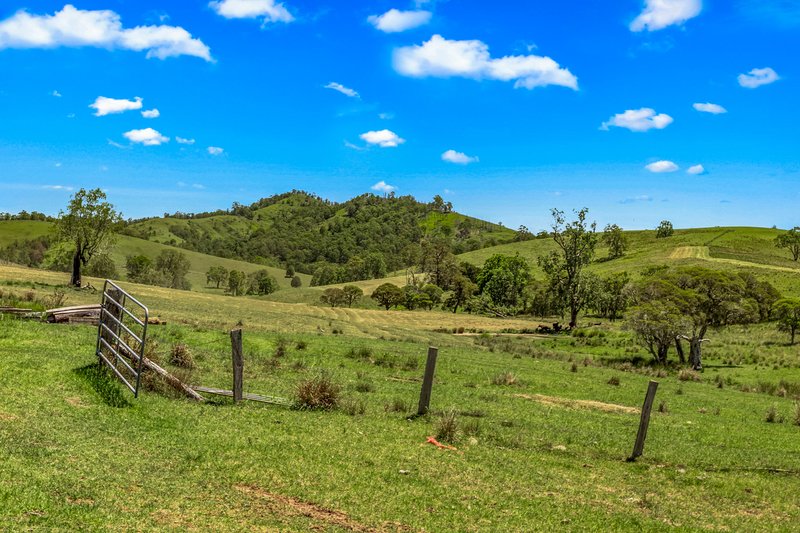 Photo - 2205 Salisbury Road, Salisbury NSW 2420 - Image 15