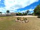 Photo - 221 Flagstone Creek Road, Carpendale QLD 4344 - Image 1
