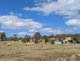 Photo - 221 Flagstone Creek Road, Carpendale QLD 4344 - Image 8