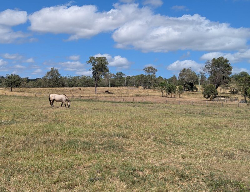 Photo - 221 Flagstone Creek Road, Carpendale QLD 4344 - Image 13