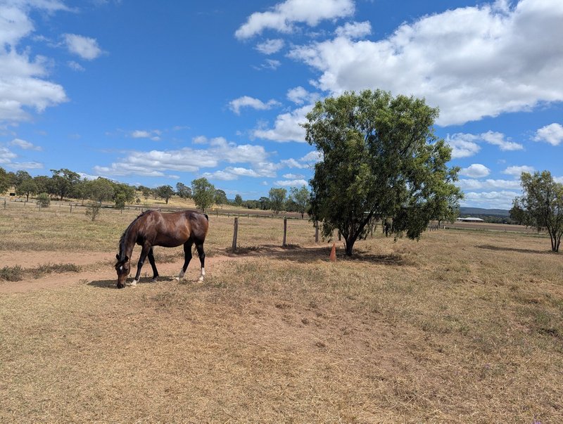 Photo - 221 Flagstone Creek Road, Carpendale QLD 4344 - Image 14