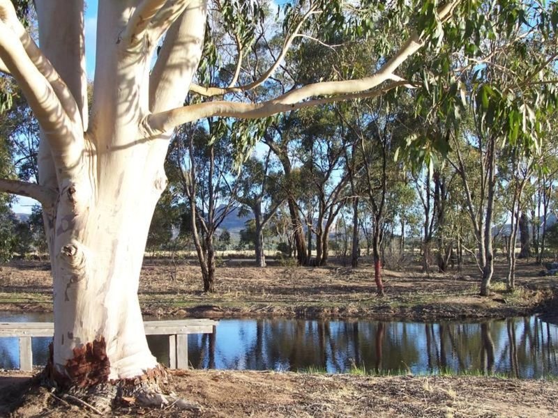 Photo - 221 Flat Rock Road, Laharum VIC 3401 - Image 9