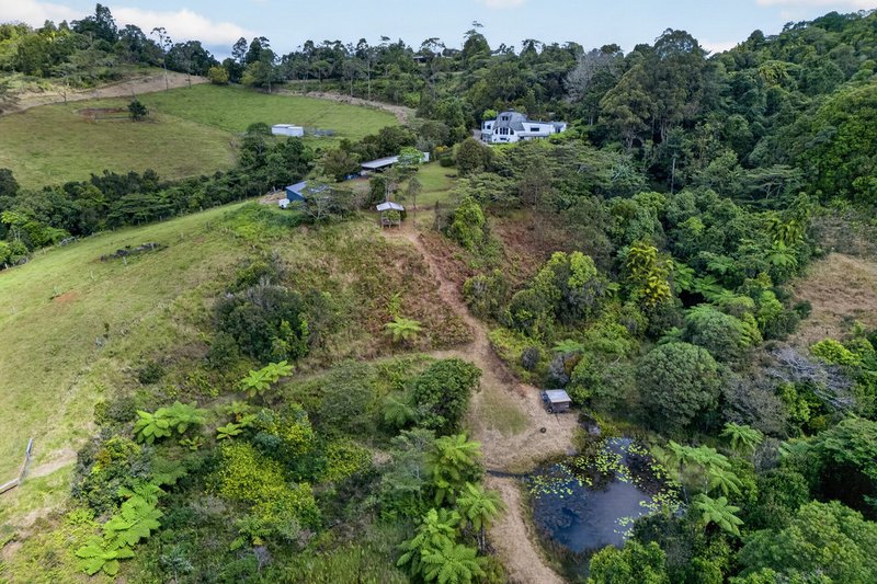 Photo - 221 Hitchconole Road, Tarzali QLD 4885 - Image 2