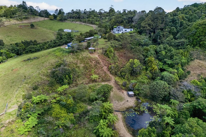 Photo - 221 Hitchconole Road, Tarzali QLD 4885 - Image 5