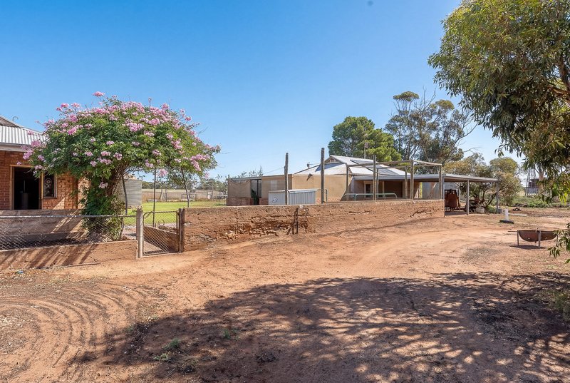 Photo - 221 Killawarra Road, Caloote SA 5254 - Image 18
