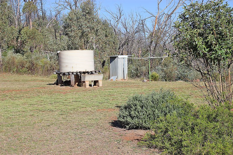 Photo - 221 Tibuc Road, Coonabarabran NSW 2357 - Image 14