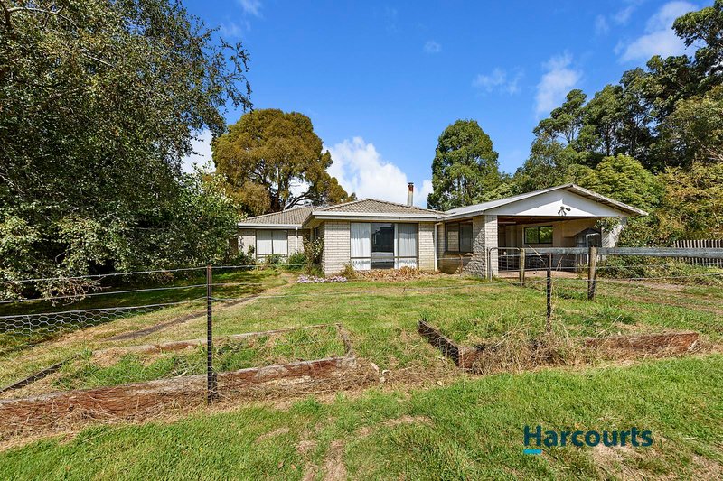 Photo - 2218 Wilmot Road, Lower Wilmot TAS 7310 - Image 10