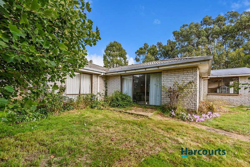 Photo - 2218 Wilmot Road, Lower Wilmot TAS 7310 - Image 11