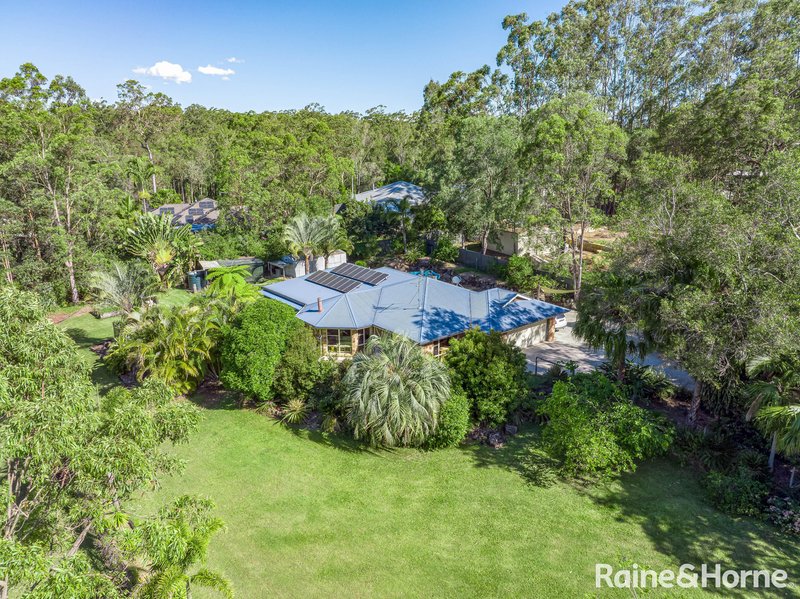 222 Blueberry Drive, Black Mountain QLD 4563