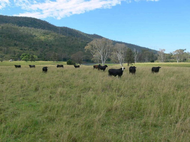 Photo - 222 Cooeeimbardi Road, Somerset Dam QLD 4312 - Image 7