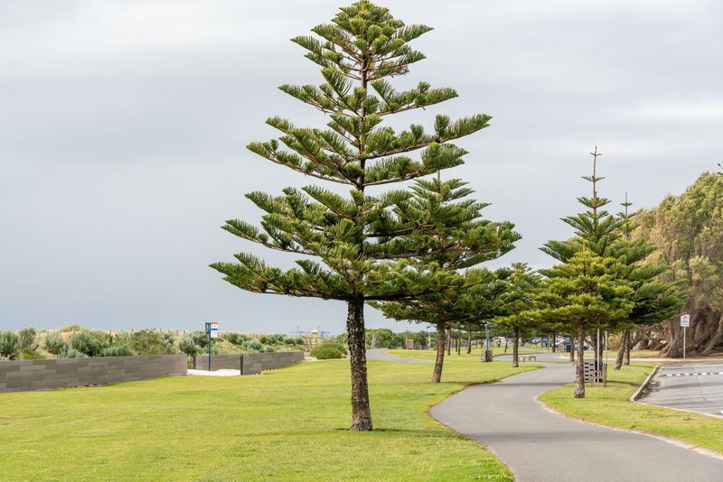 Photo - 2/22 Esplanade , Semaphore South SA 5019 - Image 12