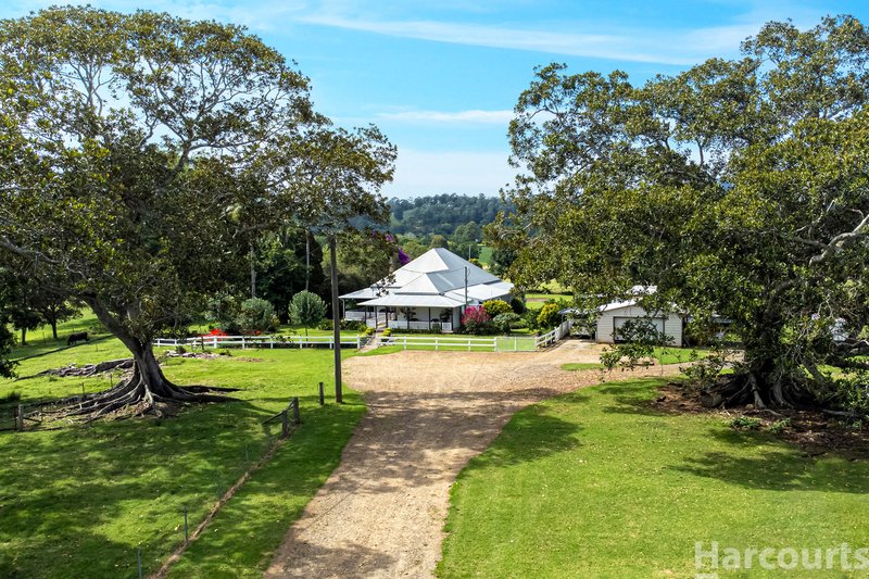 Photo - 222 Koree Island Road, Beechwood NSW 2446 - Image 4