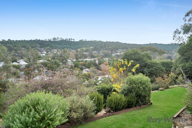 Photo - 222 Menangle Street, Picton NSW 2571 - Image 32