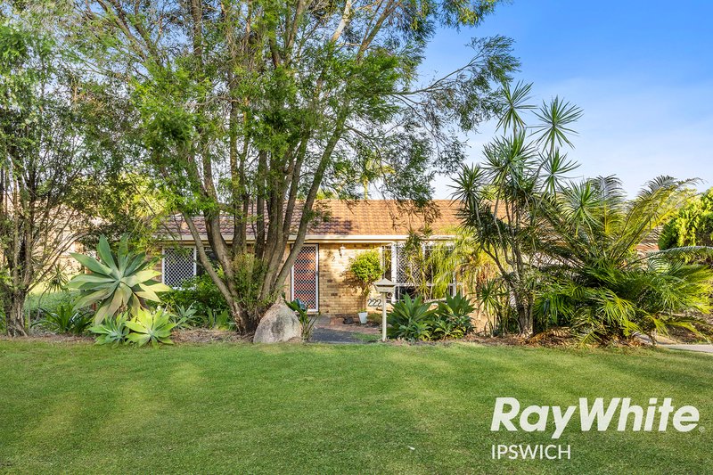 Photo - 222 Wildey Street, Flinders View QLD 4305 - Image 2