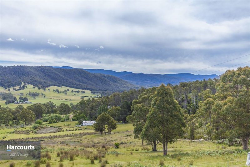 Photo - 222 Woolleys Road, Lonnavale TAS 7109 - Image 9