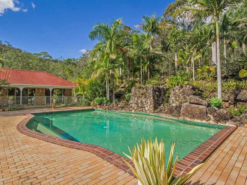 Photo - 223 Clagiraba Road, Mount Nathan QLD 4211 - Image 4