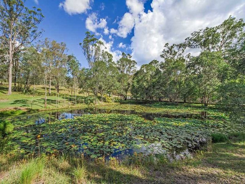 Photo - 223 Clagiraba Road, Mount Nathan QLD 4211 - Image 5