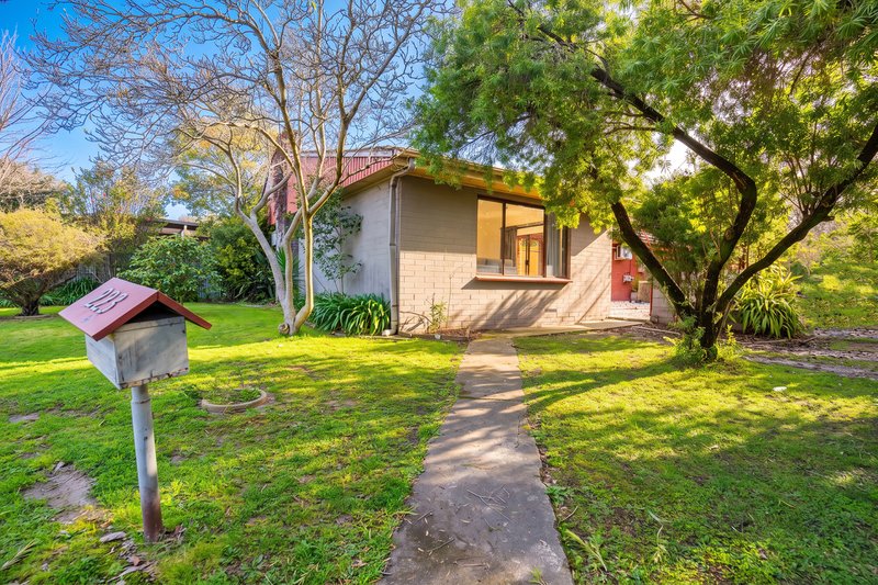 Photo - 223 Kiewa Street, South Albury NSW 2640 - Image 1